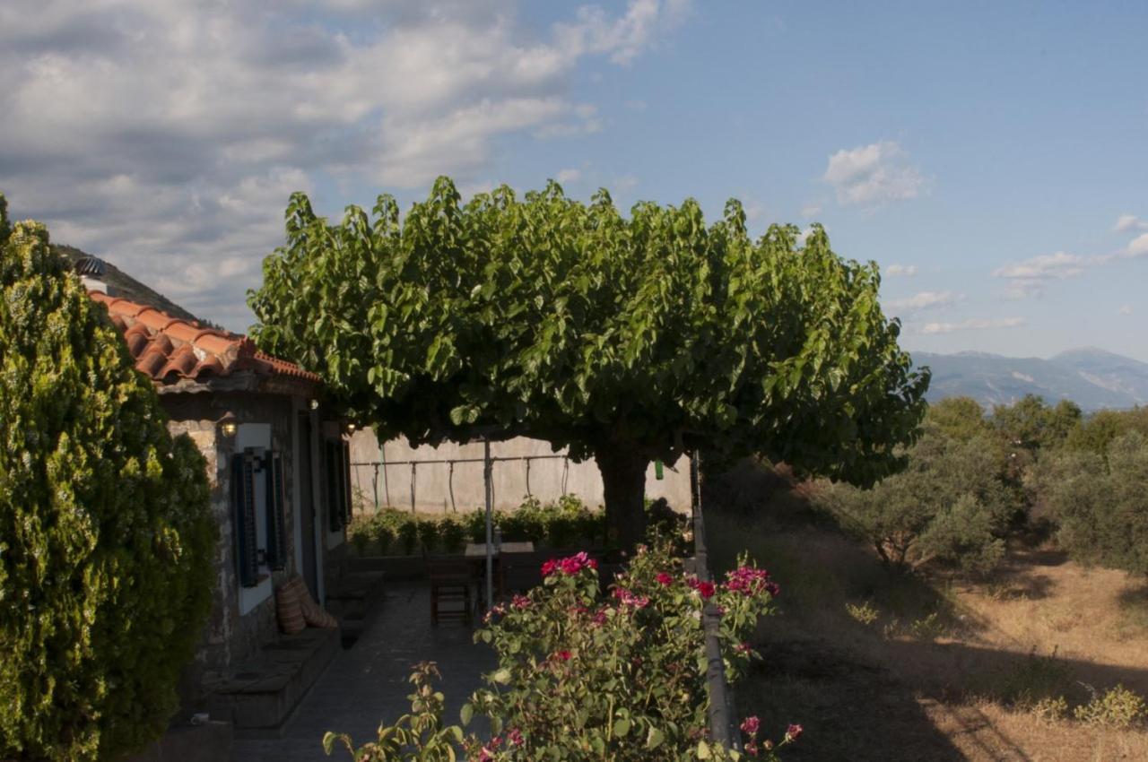 Villa Anna Nafpaktos Екстериор снимка
